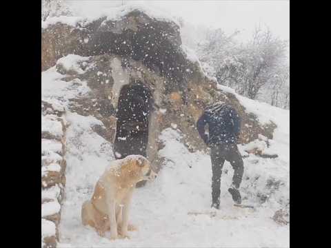 Primitive Cave Making With Fire and Hand Tools Like Our Ancestors  #diy #bushcraft #adventure