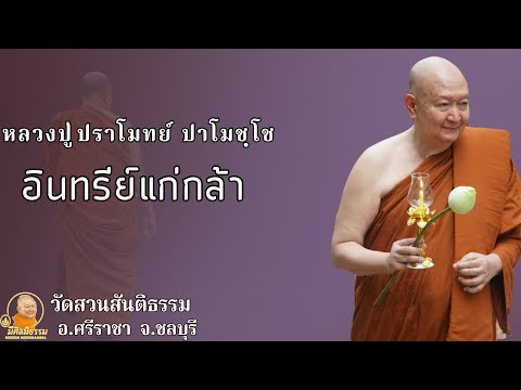 อินทรีย์แก่กล้า:: หลวงปู่ปราโมทย์ ปาโมชฺโช  วัดสวนสันติธรรม