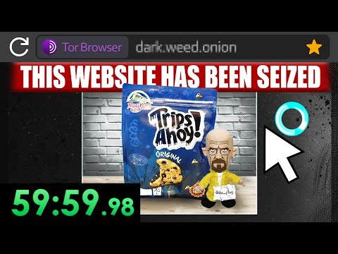 I Tried to Speedrun The Dark Web..