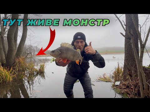 Полювання на щуку 10 кг у корчах! ТАКЕ БАЧИВ ВПЕРШЕ..