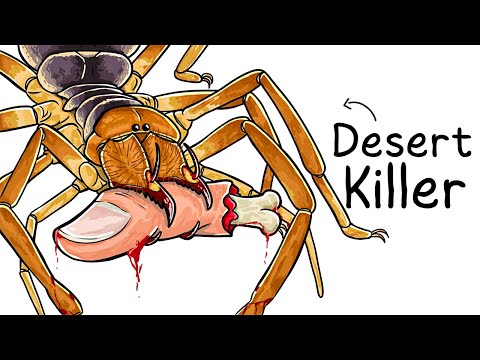 Why it Sucks To Be Born As a Wind Scorpion