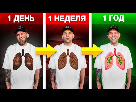 НЕ БРОСАЙ КУРИТЬ пока не посмотришь это видео!