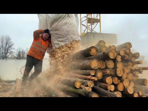 Professional Wood Destruction Techniques