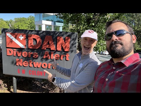 Here's what happened when we met with DAN