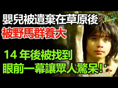 嬰兒被遺棄在內蒙古草原後，被野馬群養大，14年後被當地牧民找到，眼前一幕讓所有人驚呆！