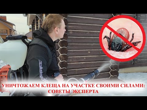 Можно ли уничтожить клеща на дачном участке