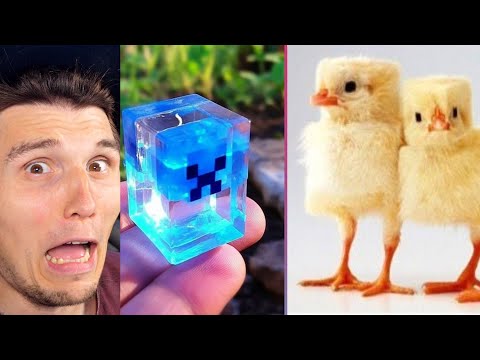 Paluten REAGIERT auf Unglaubliche MINECRAFT Kreationen 3.0