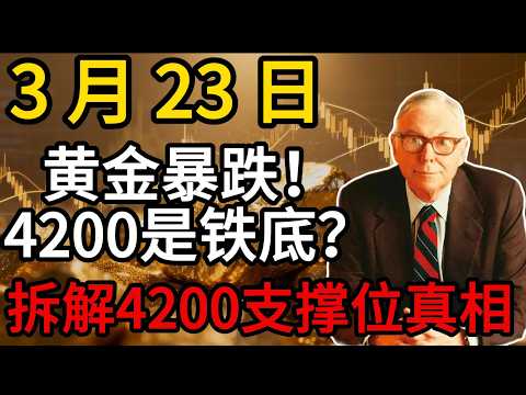 【假芒格真投资】暴跌7%!43年最惨黄金崩盘|拆解4200支撑位真相,投资者必看避坑指南