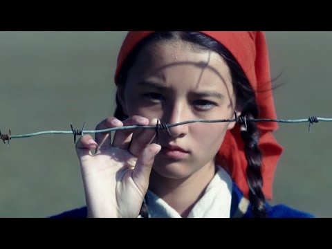 真实事件改编，画面唯美到惊心动魄，灾难震撼到令人窒息