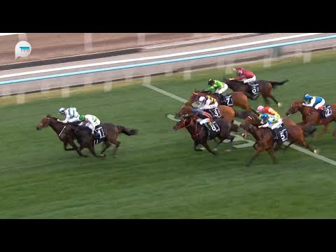 HKJC香港一哩錦標 Hong Kong Mile 一級賽 G1 1600m 2025-12-14 遨遊氣泡 VOYAGE BUBBLE 沙田馬場 Shatin Racecourse