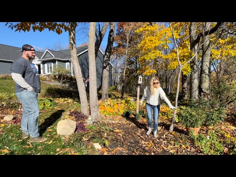 Real Life Fall Gardening: Moving Perennials to Prepare for a Living River I’m Planning for Spring