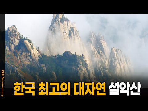 한국 최고의 명산 '설악산', 사람과 공존할 수 있을까.. | KBS 20111106 방송
