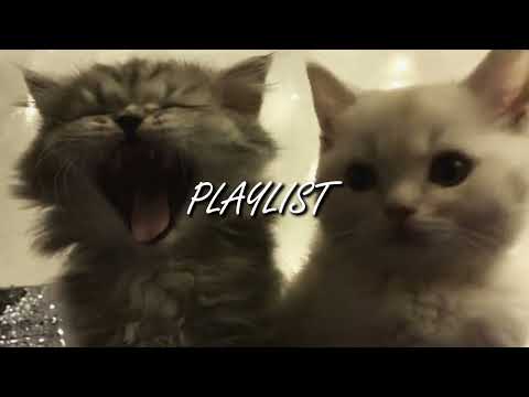 [ 𝑷𝒍𝒂𝒚𝒍𝒊𝒔𝒕 ] 주인장이 취해버린 느좋 플리