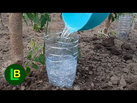 Ovo je jednostavan sistem za navodnjavanje biljaka pomoću plastičnih flaša