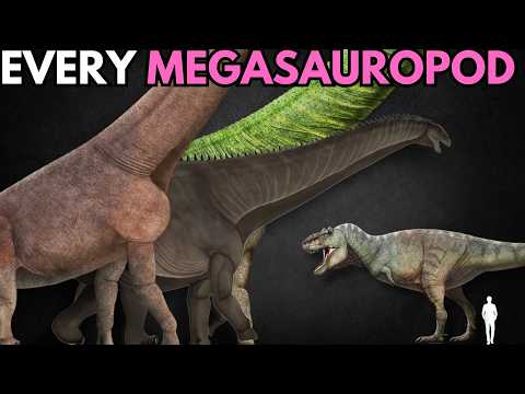 The Megasauropods | When Nature Went Too Far