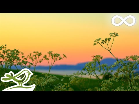 Time: You're Meditating In The Sunset With Relaxing Music