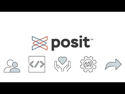 What is Posit Team?