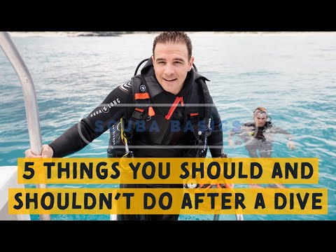 Scuba Diving Advice: 5 Things You Should and Shouldn't Do After A Dive
