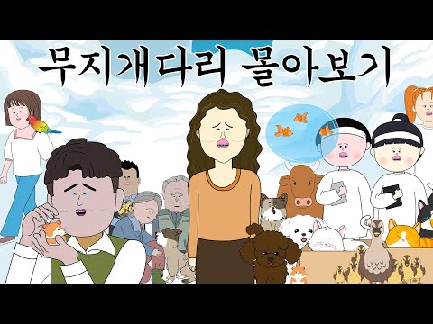 무지개 다리 몰아보기 [무지개다리🌈]