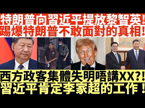 特朗普向習近平提放黎智英!|踢爆特朗普不敢面對的真相!|西方政客集體失明唔講XX?!|習近平肯定李家超的工作!|井仔點睇 #黎智英 #特朗普黎智英 #習近平黎智英 #李家超黎智英 #習近平李家超