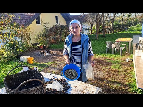 ''Od ovoga živim i to DOBRO!''