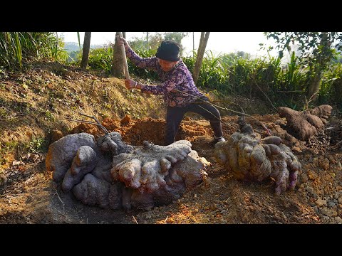 Grandma's cooking super hot summer