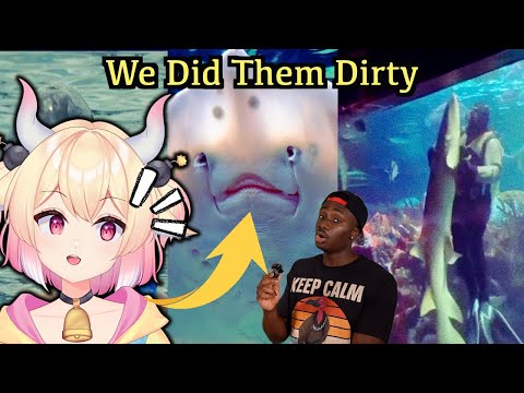 Top 10 Most Criminally Misunderstood Animals | Casual Geographic react