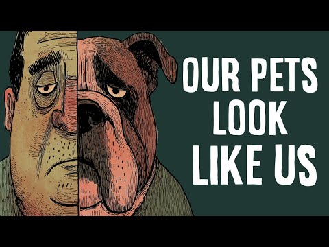 The Psychology of Why Pets Are Similar To Their Owners
