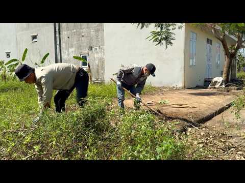 Cleaning Up Overgrown Sidewalks Causes Surprise