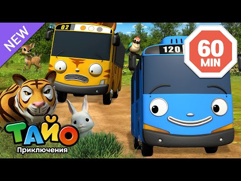 Маленький театр Тайо | Миссия по спасению животных Тайо | мультфильм для детей | Тайо