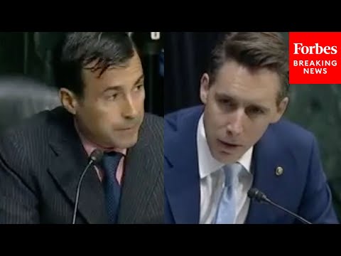 'Are You Trying To Stop Illegal Immigration Anymore Or Have You Given Up?': Hawley Grills Official