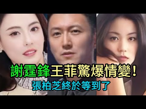 還是分了？王菲謝霆鋒“失聯鐵證”流出！3大分手原因刀刀見血，網友驚呼：張柏芝終於等到了？#王菲 #謝霆鋒 #張柏芝