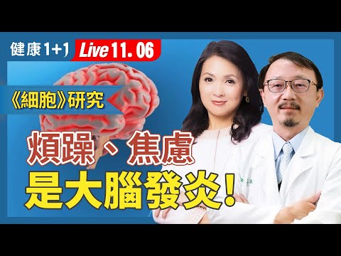 總是心煩氣躁？煩躁莫名？最新研究揭露：你的大腦正在「發炎」！【基因醫師 張家銘｜健康1+1 JoJo】（2025.11.6）｜健康1+1 ·直播