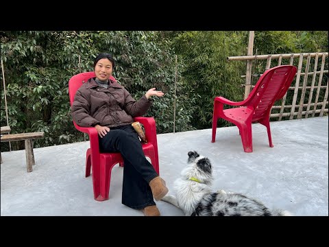 小院太宽敞了，小院里的悠闲时光