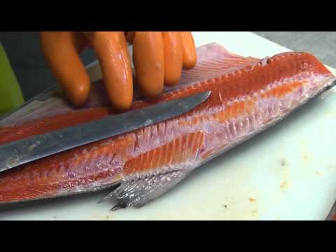 How to professionally fillet a salmon