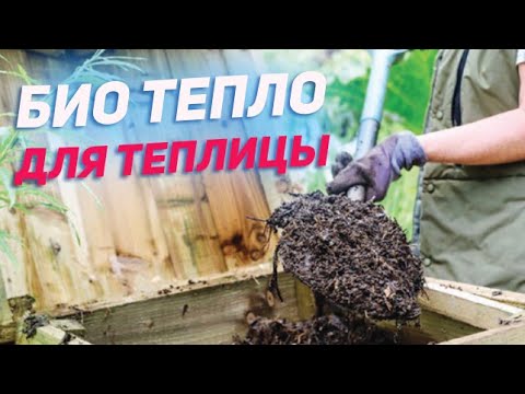 Самое  эффективное отопление для теплиц. Биореактор биомейлер . Лучше только термоядерный синтез:)