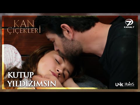 Baran, Dilan’ın Kitabını Gizlice Okuyor! - Kan Çiçekleri 168. Bölüm