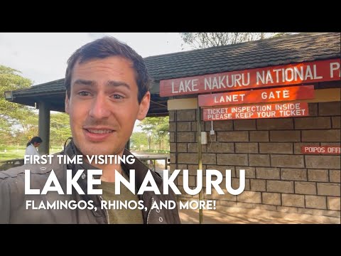 Kenya Safari VLOG - First time in Lake Nakuru National Park