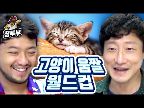 귀여운 고양이 움짤 월드컵 (with 심윤수)