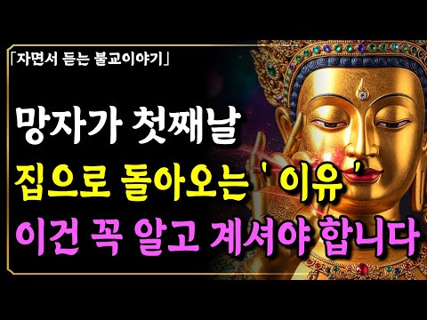망자가 첫째날 집으로 반드시 돌아오는 진짜 이유 4가지, 절대 놓치지 마세요| 부처님지혜 | 부처님말씀 | 불교이야기기