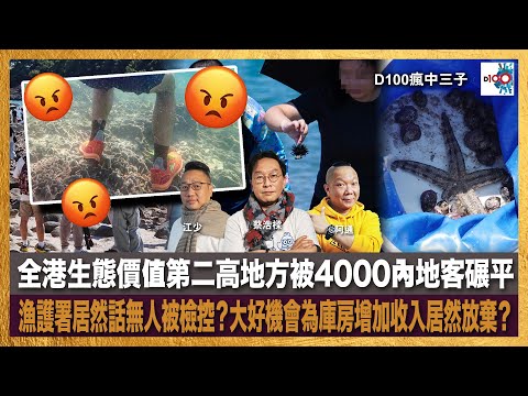 橋咀島被地鳴？全港生態價值第二高地方被4000內地客碾平，漁護署居然話無人被檢控？大好機會為庫房增加收入居然放棄？｜瘋中三子｜蔡蔡子、阿通、江少