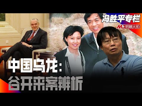 中国乌龙：谷开来案辨析｜历史篇（冯胜平专栏）