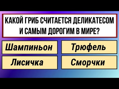 A warm-up test to improve your mind and knowledge! A test of erudition!