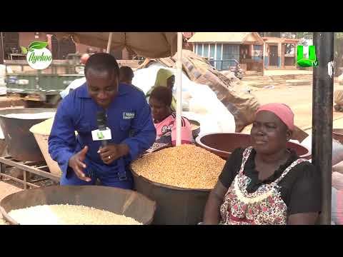 AYEKOO: AGRIC STAKEHOLDERS SPEAK ABOUT THE FEED GHANA PROGRAM