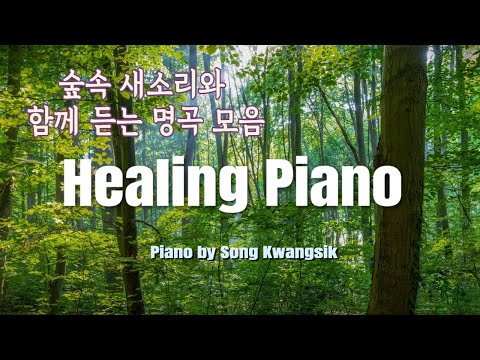 🎹숲속의 피아노🌳🦜 새소리와 함께하는 힐링 명곡 모음 🌿｜Birdsong & Piano｜Healing Music (중간광고 없음) 3시간 듣기