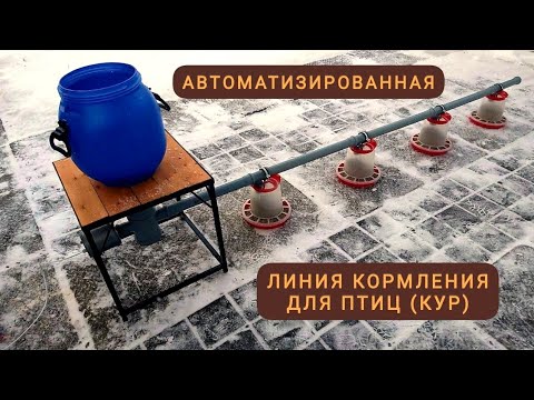Автоматическая линия кормления для птицы (кур) / автоматическая кормушка для птицы