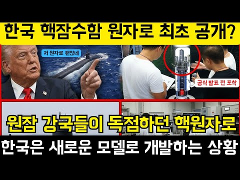 한국이 극비리에 숨겨뒀던 한국형 핵잠수함 원자로 최초 공개?, 원잠개발? 이미 끝났다는 말 도는 이유 ㅣ 원자로보다 핵심은 제어 기술, 소음을 원천 봉쇄하는 한국식 핵원자로 개발