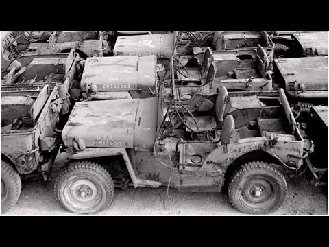 How the American Jeep Shocked the Germans on D-Day