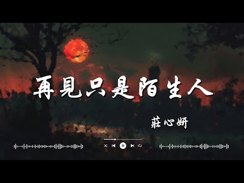 莊心妍   再見只是陌生人  隔壁老樊   我曾, 毛不易   不染🎶 2024年最具創意的中文TikTok熱曲：歌詞帶你進入奇幻世界！【動態歌詞Lyrics】