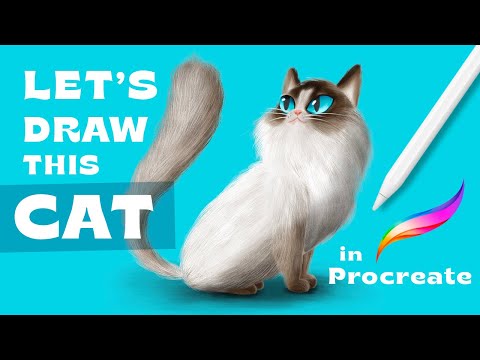 How to Draw a Cat in Procreate!